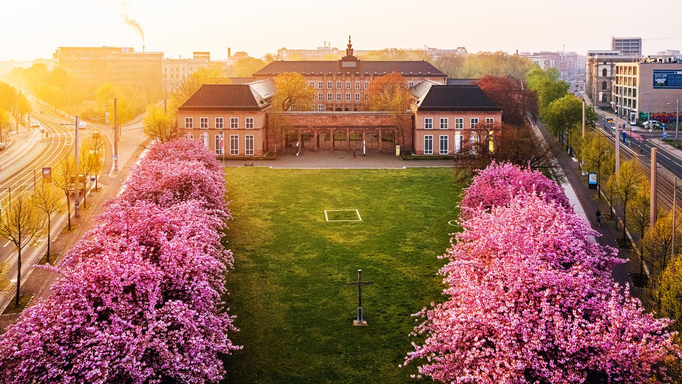 Tagungen und Konferenzen in Leipzig – Blick auf das Grassi Museum am Johannisplatz in Leipzig mit Kirschblüten im Frühling