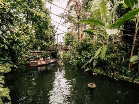 Rahmenprogramm Zoo-Safari im Gondwanaland für Tagung & Konferenz Leipzig Convention