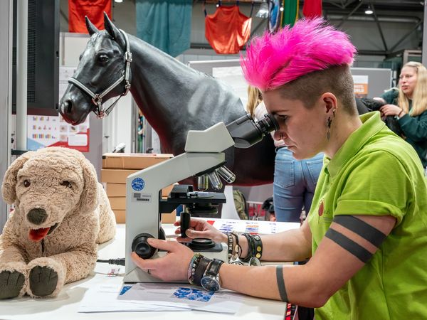 13. Leipziger Tierärztekongress mit der Ausstellung VETEXPO Europe im Januar 2026 – präsentiert vom Leipzig Convention Bureau